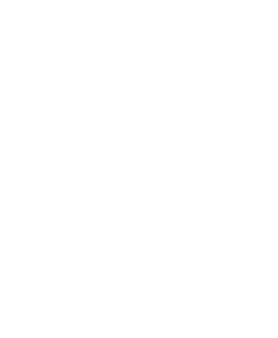 Visit Logo